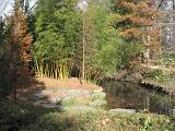 Duke Gardens 03